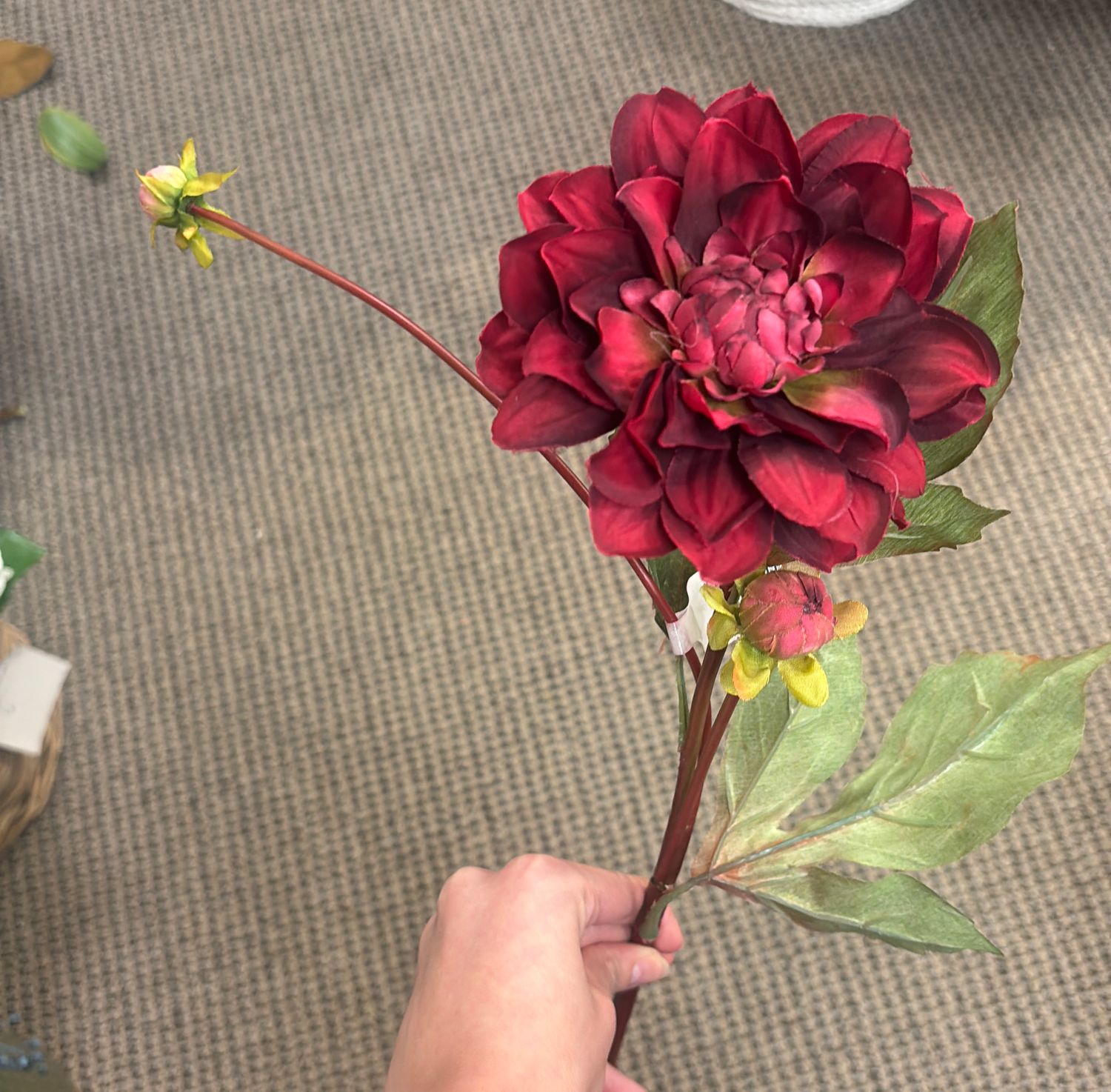 BURGUNDY GARDEN DAHLIA SPRAY