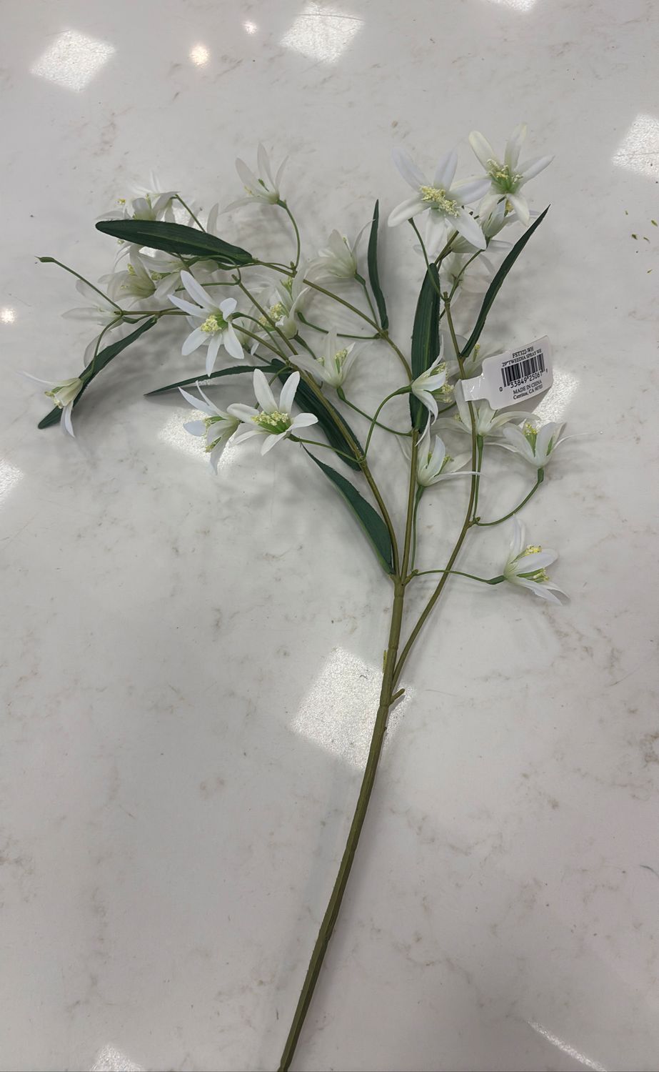 29" TWEEDIA SPRAY