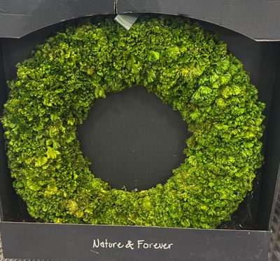 21" PRESERVED CELOSIA WREATH