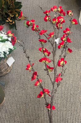 RED PLUM BLOSSOM