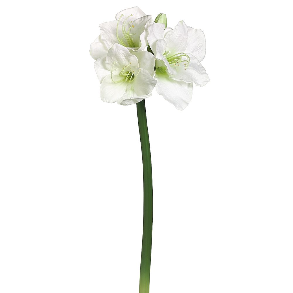 29" AMARYLLIS SPRAY WHITE