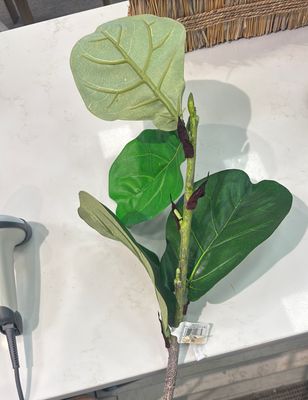 42" FIDDLE LEAF FIG BRANCH