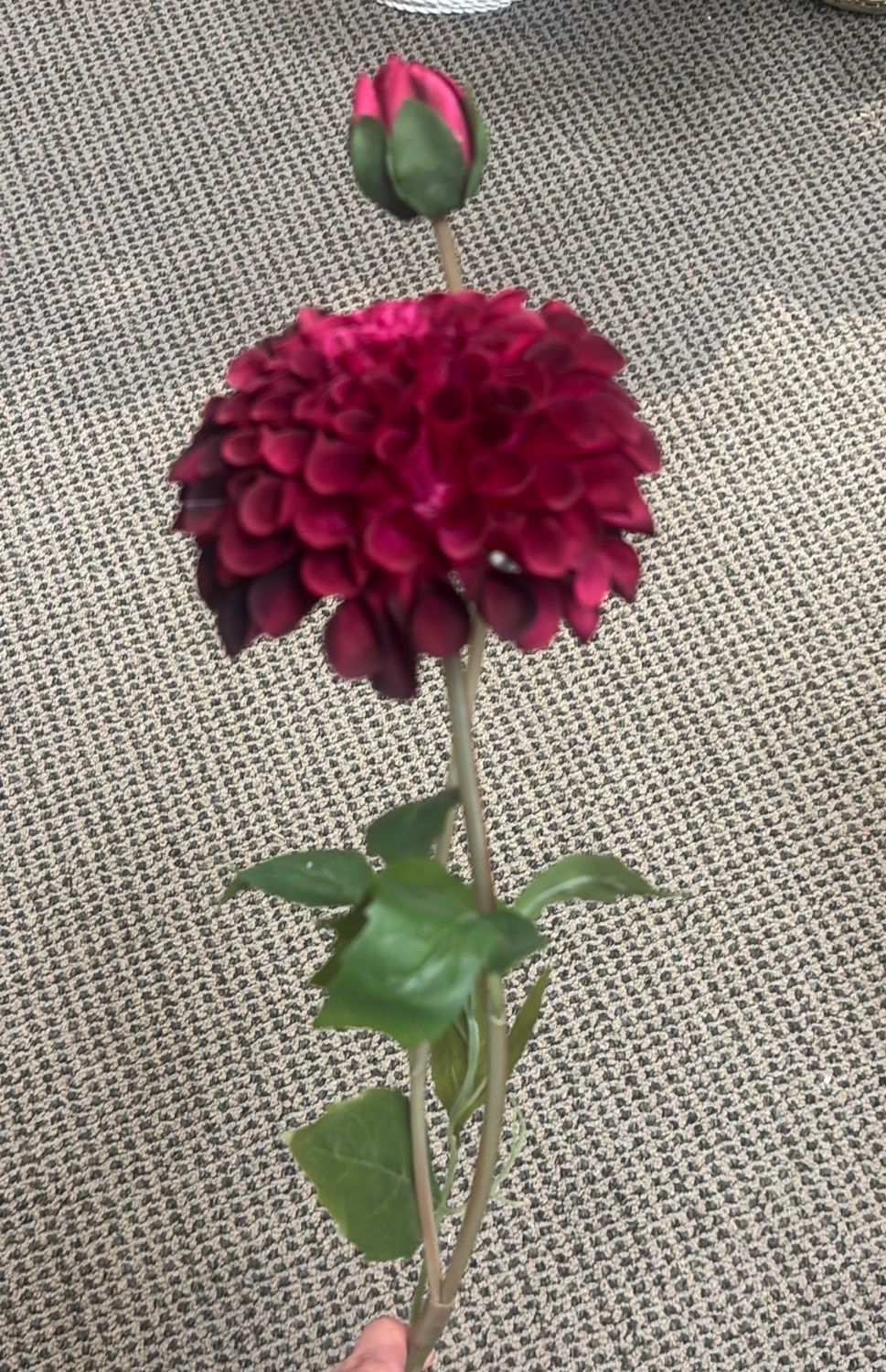 BURGUNDY DAHLIA SPRAY