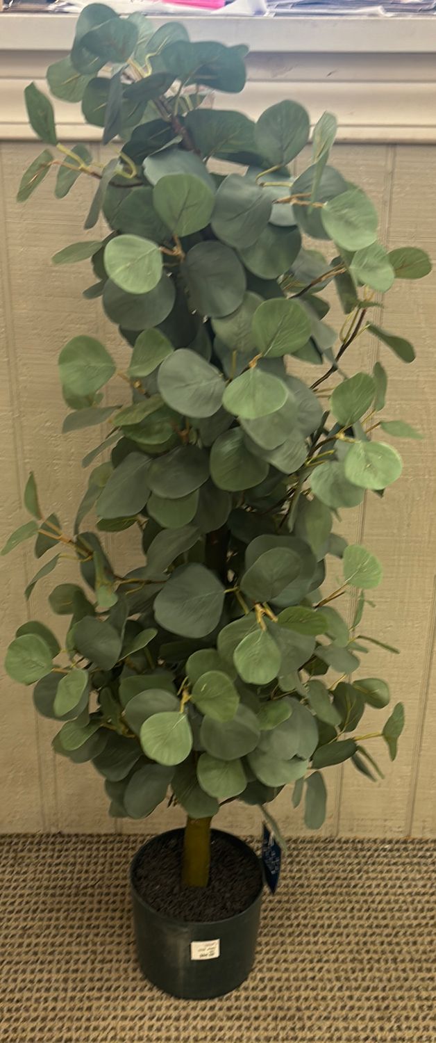 43" CONE SHAPED EUCALYPTUS TOPIARY