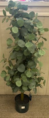 43" CONE SHAPED EUCALYPTUS TOPIARY