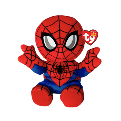 SPIDER MAN FLOPPY REG