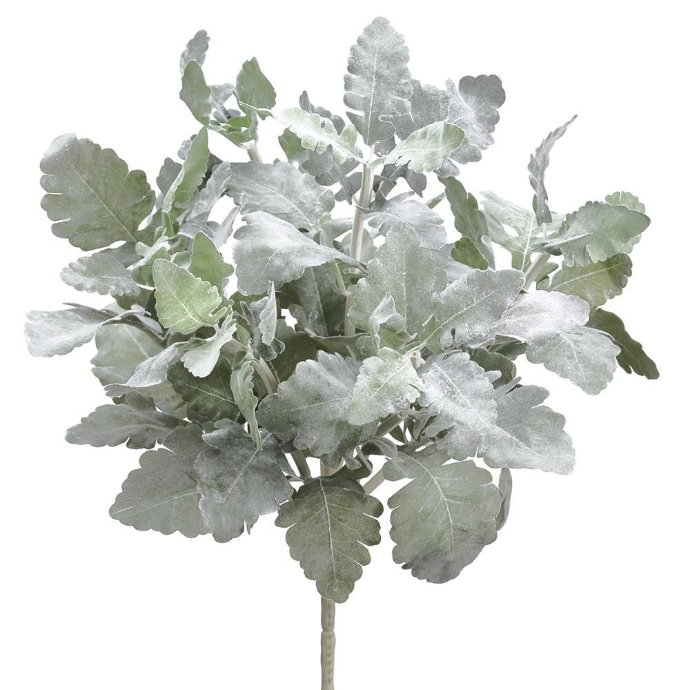 16.5" DUSTY MILLER BUSH
