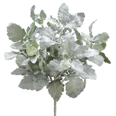 16.5" DUSTY MILLER BUSH