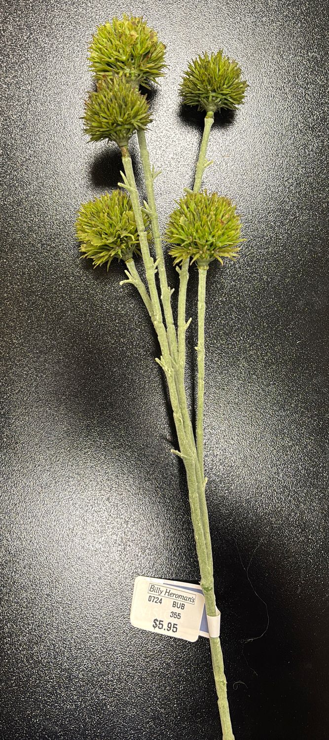 GLOBE THISTLE SPRAY