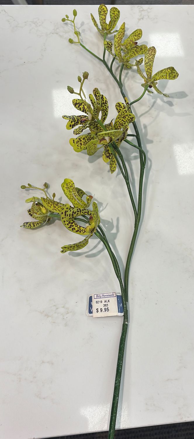 41.5" DENDROBIUM SPRAY