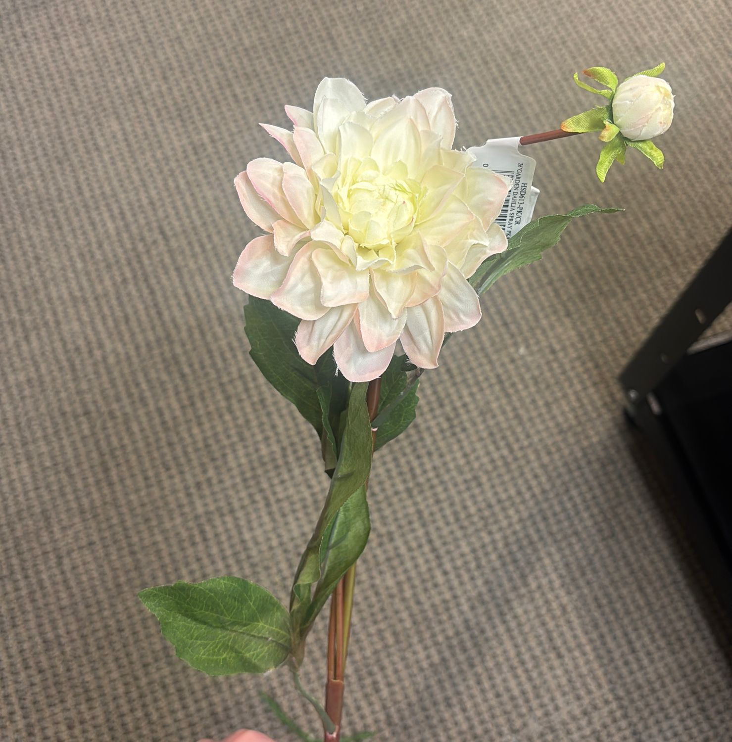 GARDEN DAHLIA SPRAY