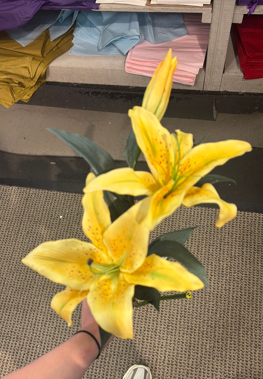 35" REAL TOUCH CASABLANCA LILY