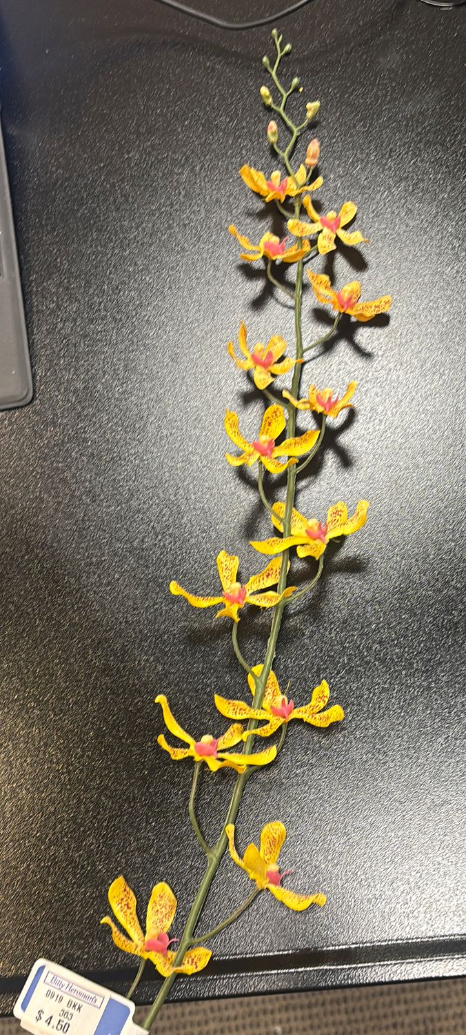 YELLOW VANDA ORCHID SPRAY