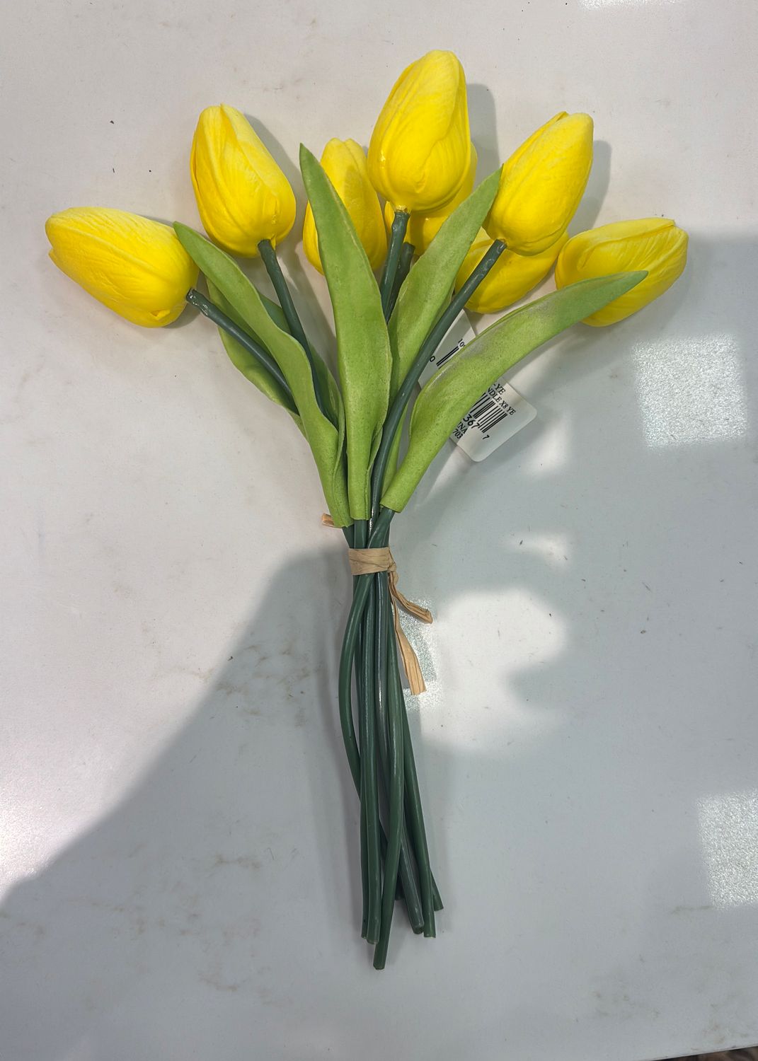 10" RT TULIP