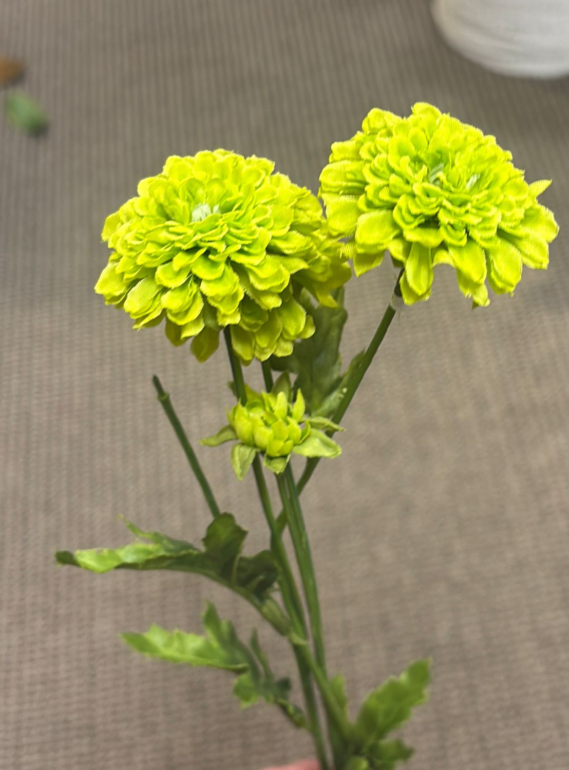 GREEN POM POM MUM SPRAY