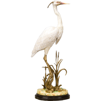 Shore Water Bird