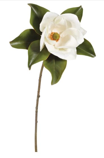 TWO-TONE WHITE MAGNOLIA 24"