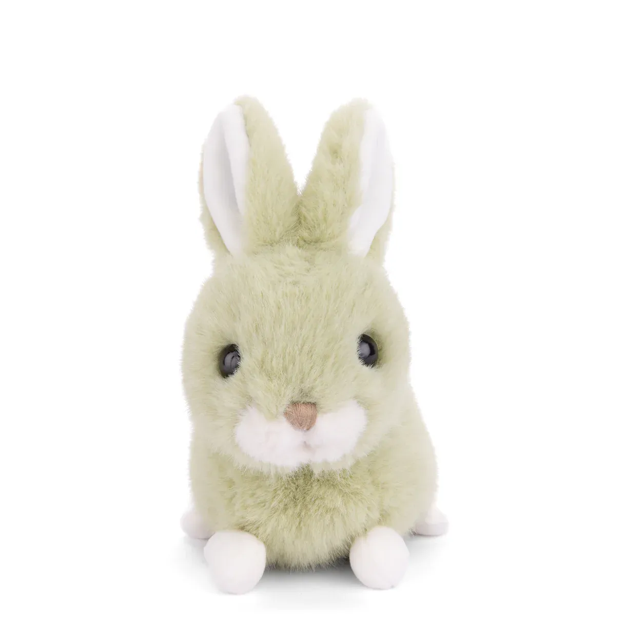 BABY BUNNY LIME
