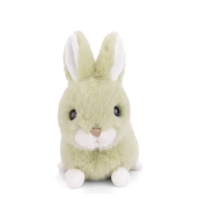 BABY BUNNY LIME