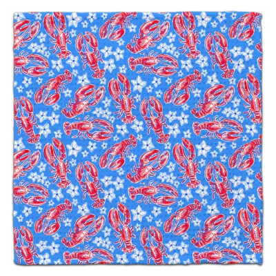 DANCIN LOBSTER ECO-FRIENDLY WASHCLOTH