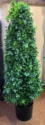 36” toppary with Pot
