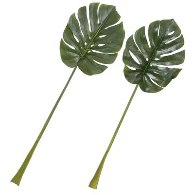 GREEN SPLITLEAF PHILO STEM - 34-44" - SET OF 2