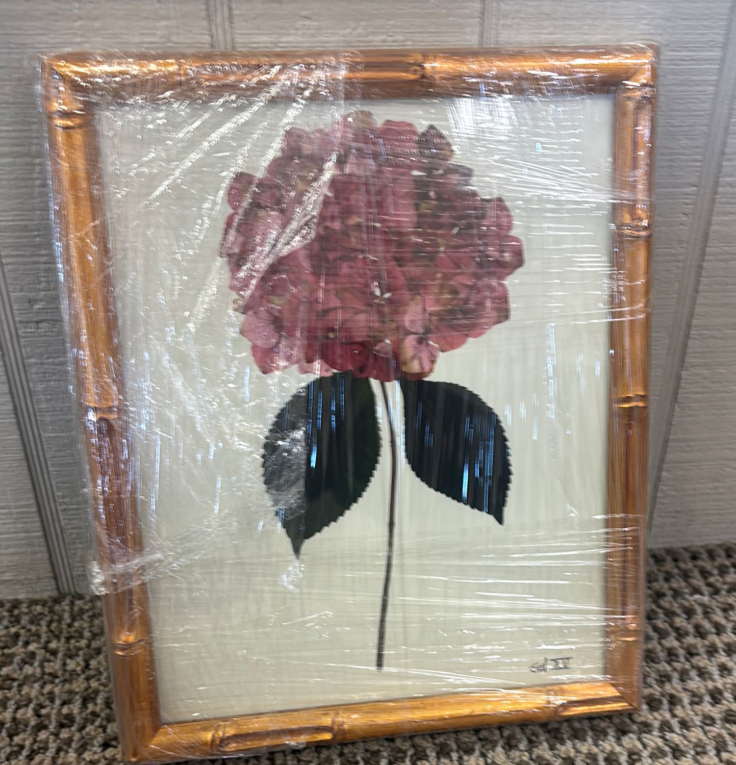 HYDRANGEA  XV - 8X10