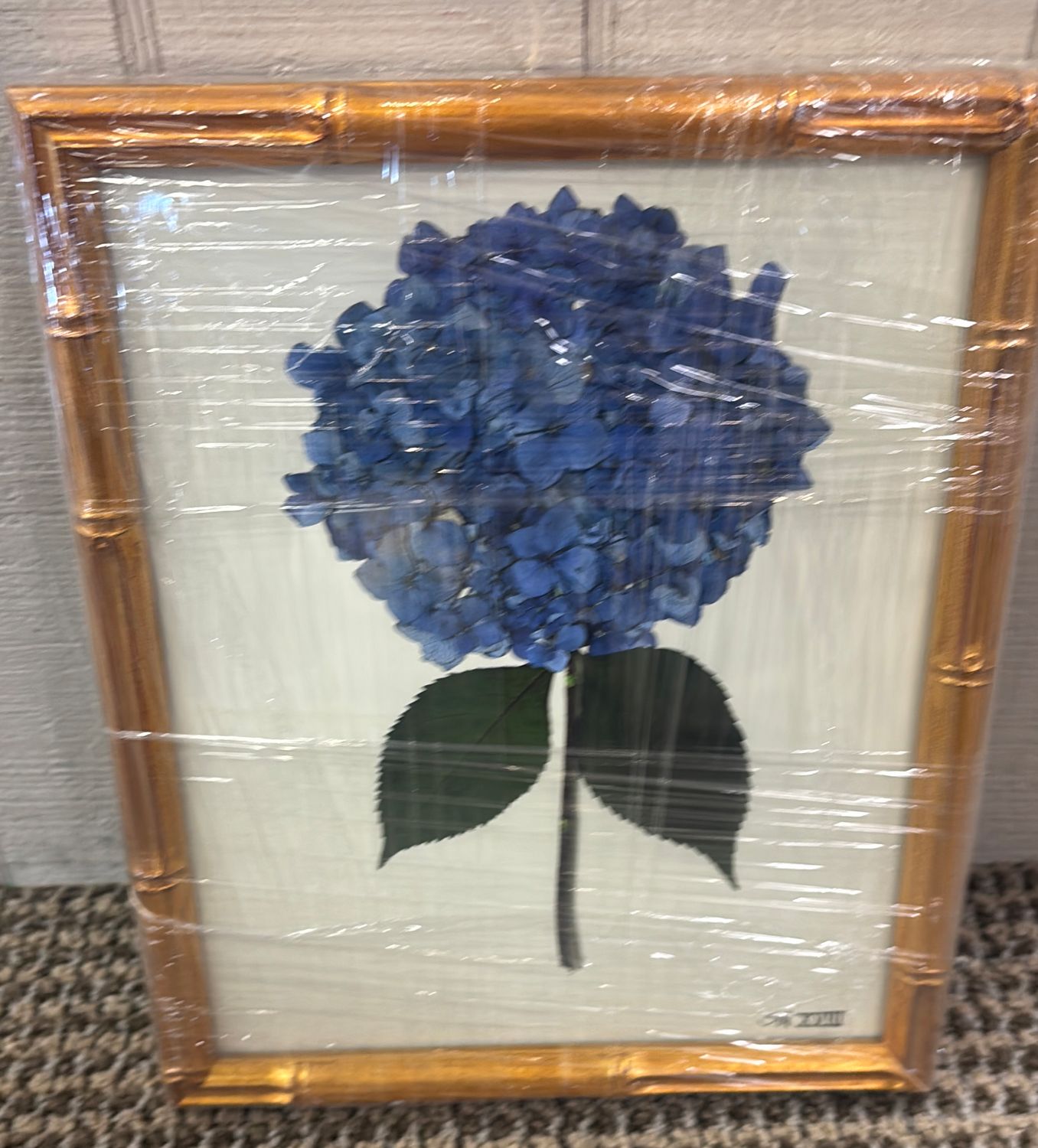 HYDRANGEA XVIII - 8X10