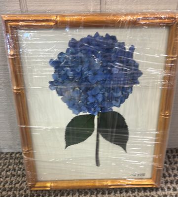 HYDRANGEA XVIII - 8X10