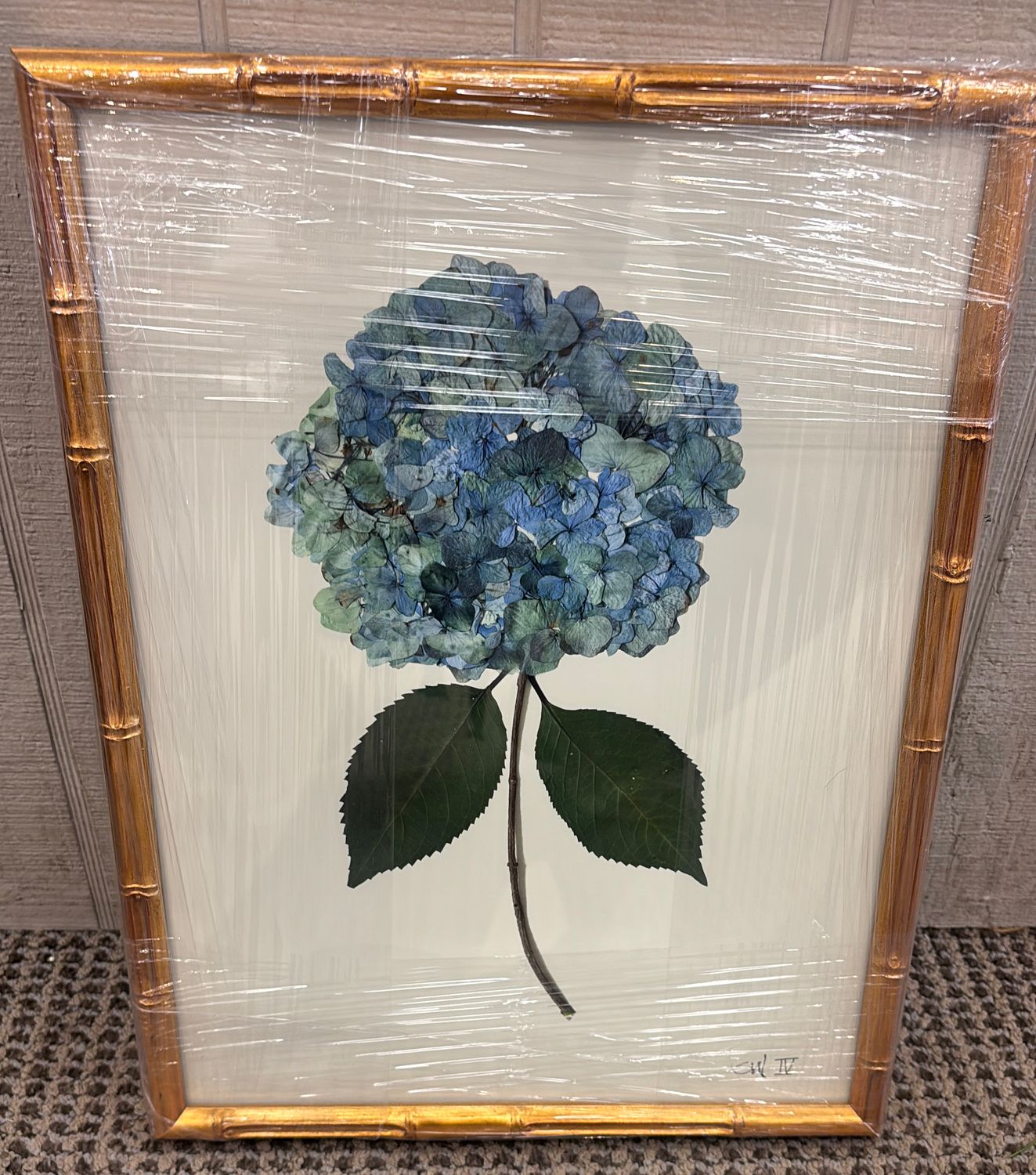 HYDRANGEA - IV  - 12X16