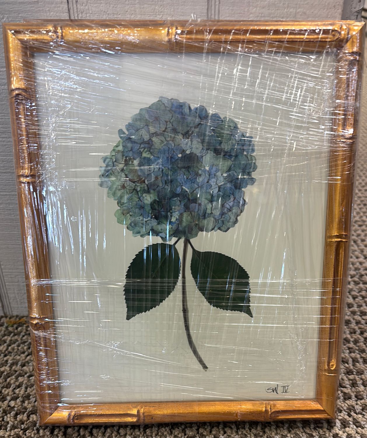 HYDRANGEA  IV - 8X10