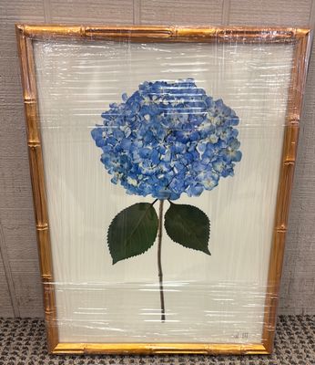 HYDRANGEA - III  - 12X16