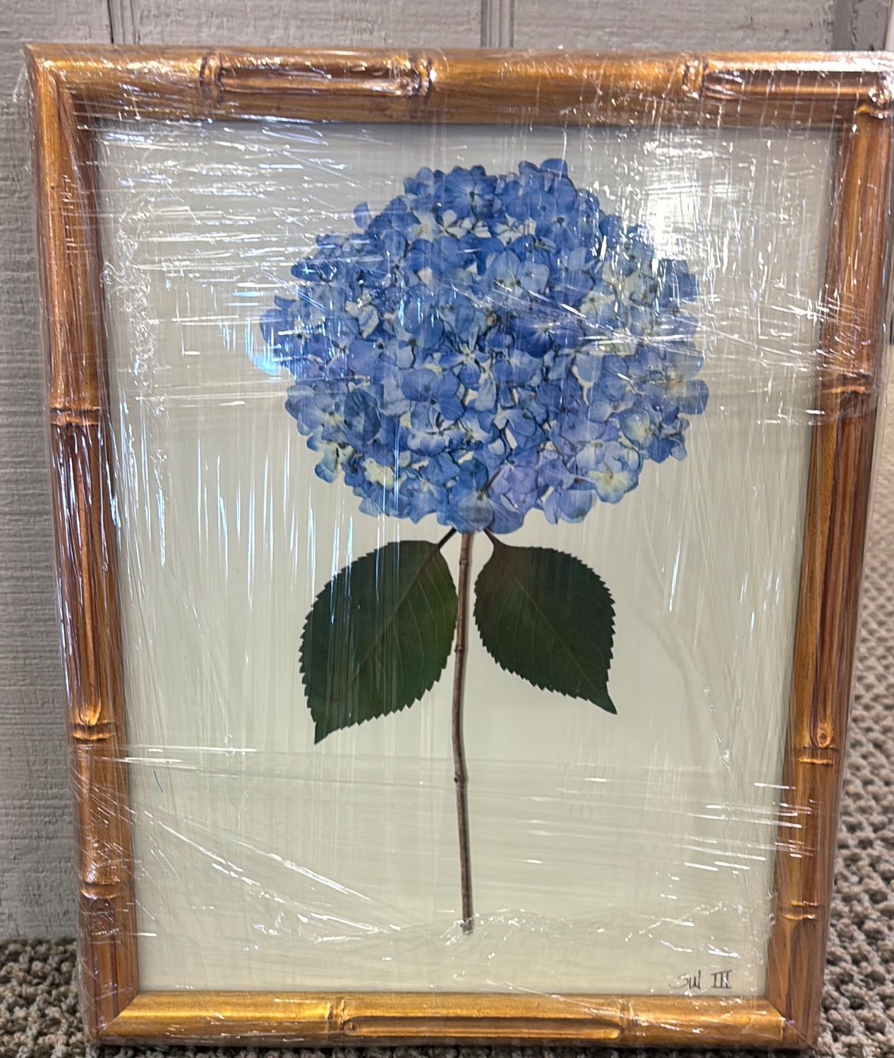 HYDRANGEA III - 8X10
