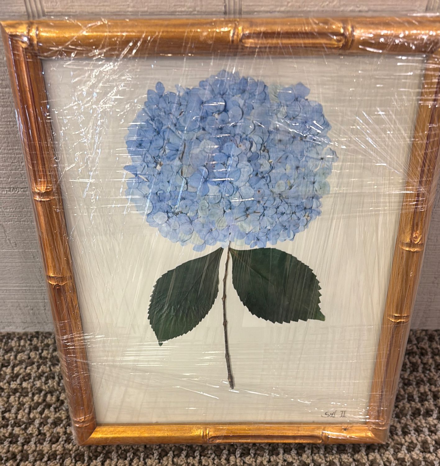 HYDRANGEA II - 8X10