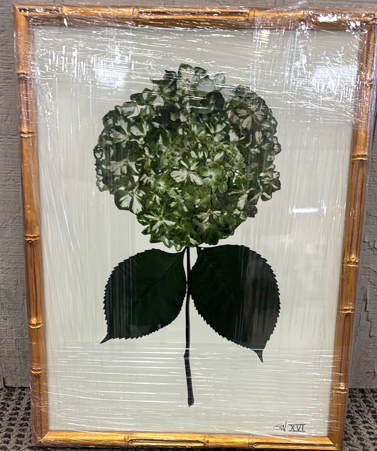 HYDRANGEA -  XVI - 12X16