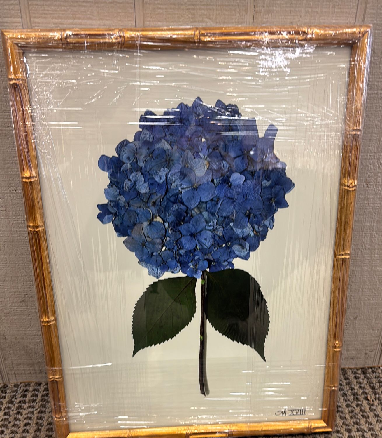 HYDRANGEA  - XVIII  12 X 16
