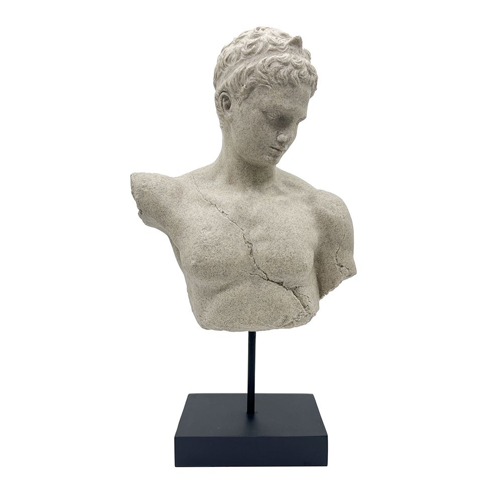 Decorative Male Torso Bust with Natural Beige Finish and Sleek Black Stand
