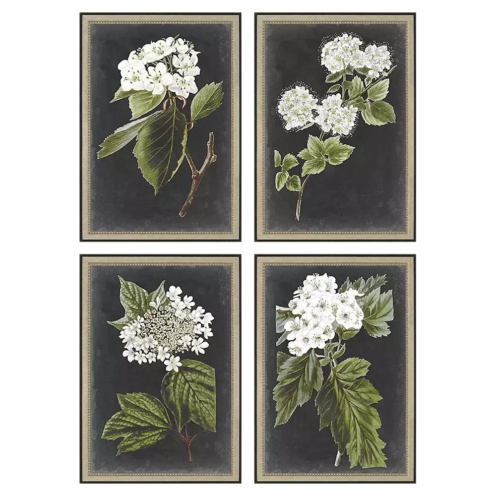 Dramatic White Flower