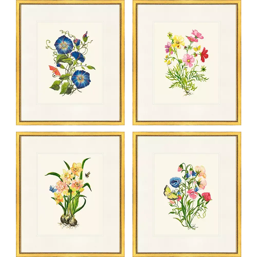 Delicate Medley II S/4