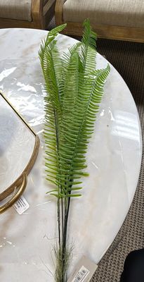 SWORD FERN PLANT 41"