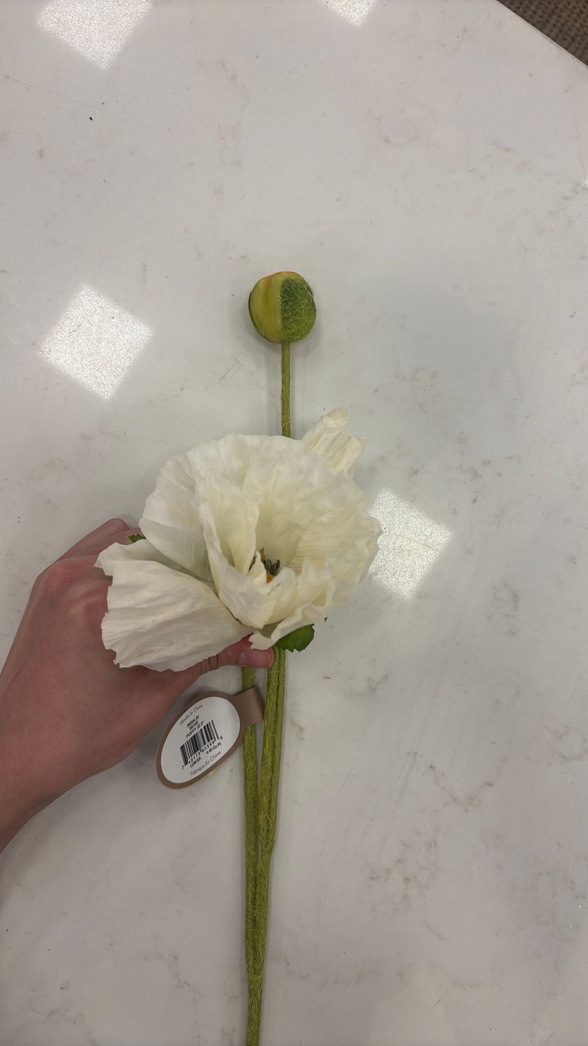 BEIGE POPPY 22.5"