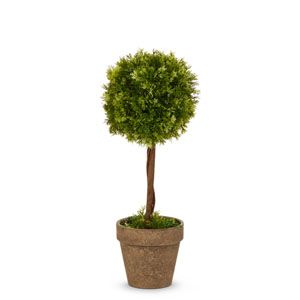 14" Potted Topiary