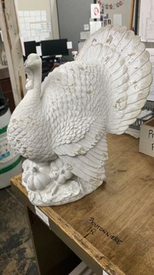 Large white turkey