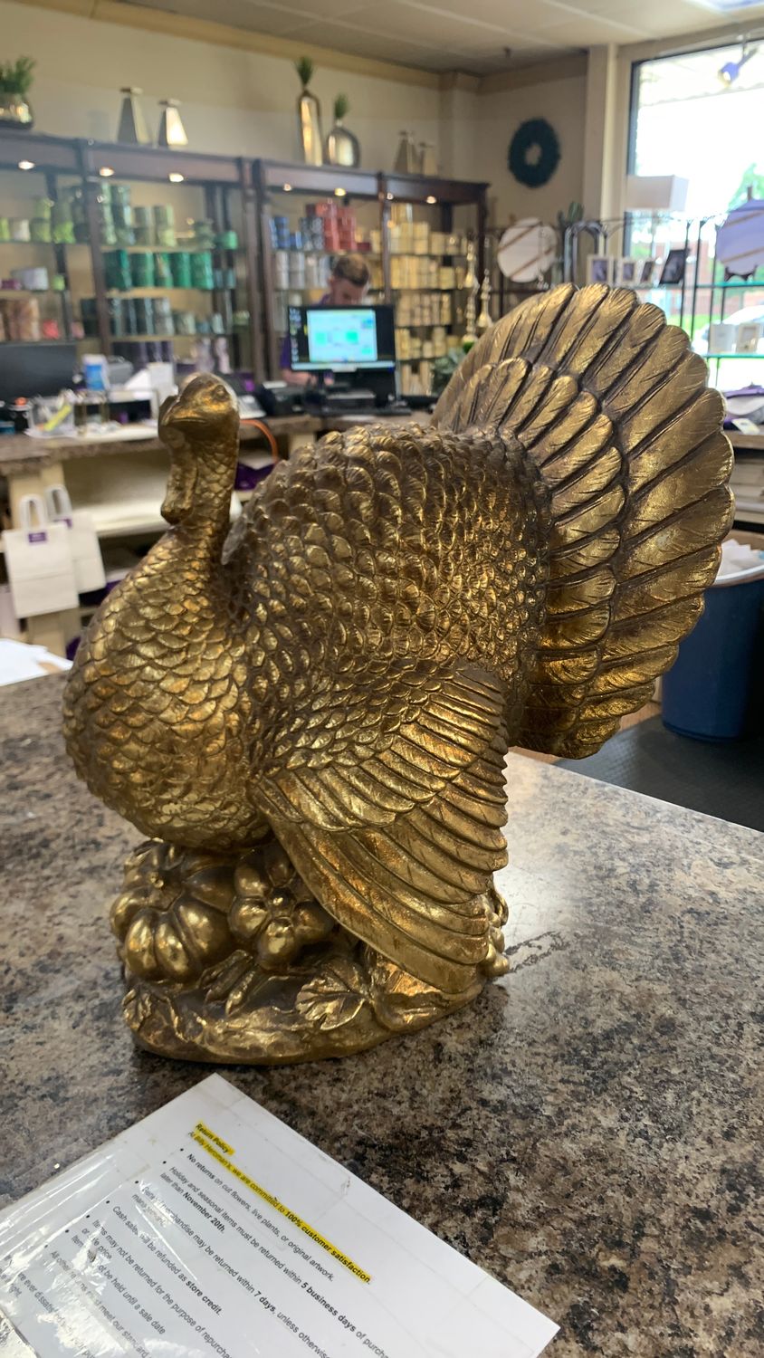 Gold turkey large