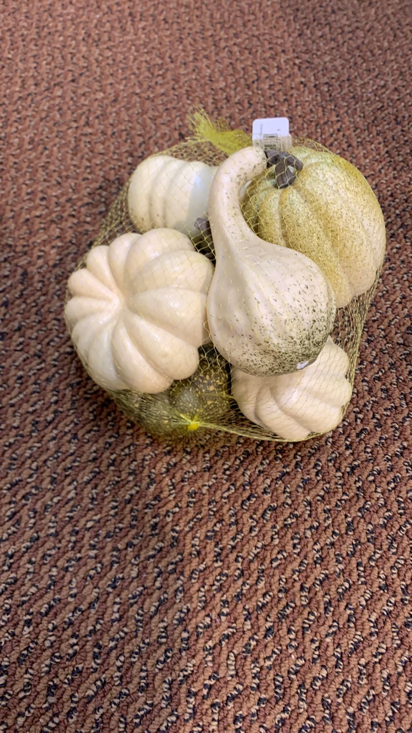 8pc pumpkin/gourd assorted