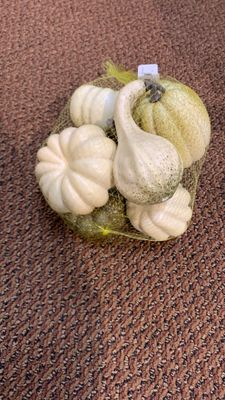 8pc pumpkin/gourd assorted