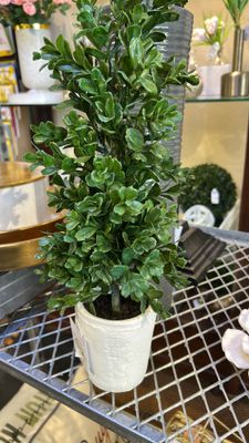 21” boxwood topiary
