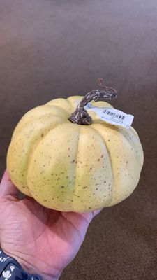 7” W harvest pumpkin