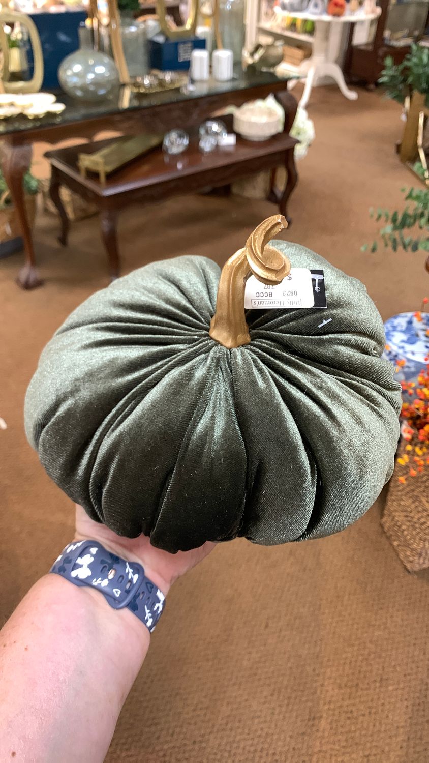 Plush velvet pumpkin