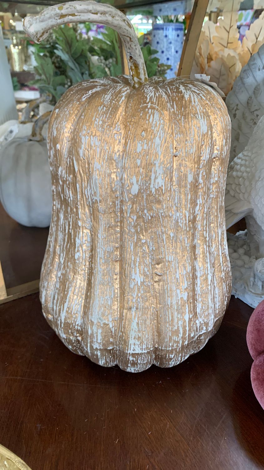 Hybrid pumpkin